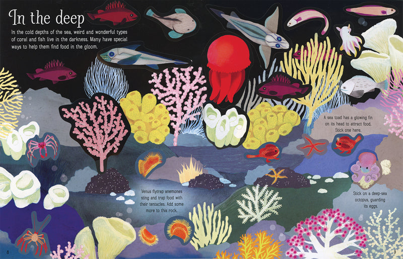 First Sticker Book: Coral Reef