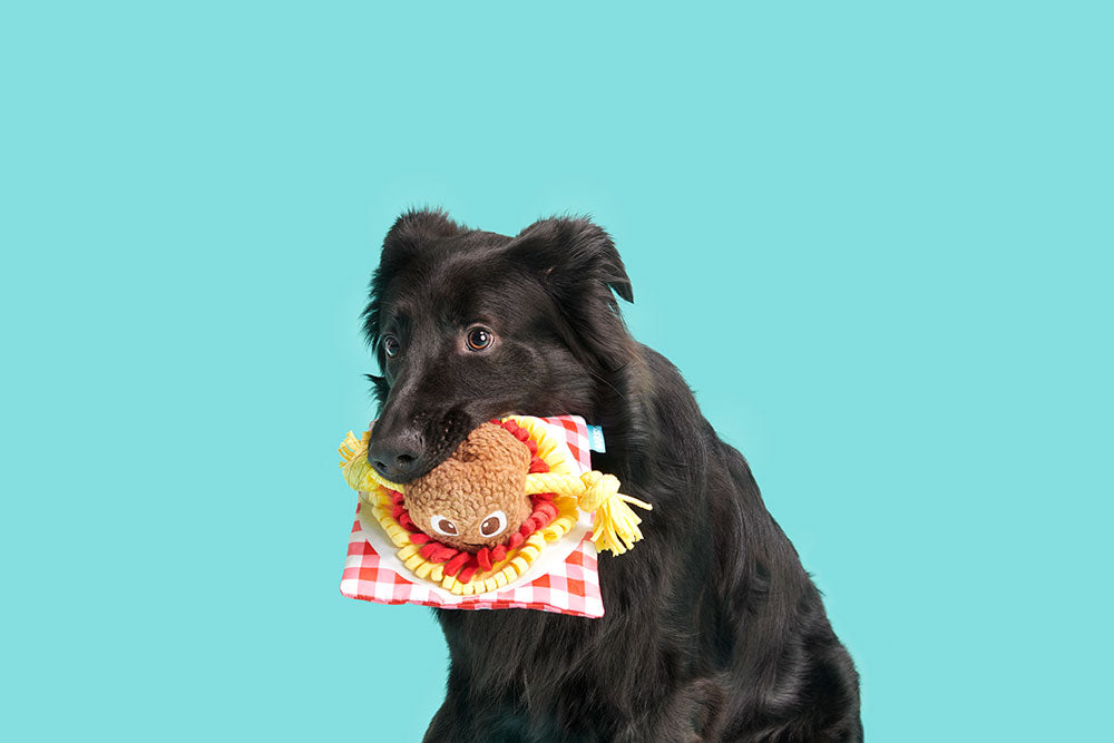 BARK Spaghetti and Muttballs