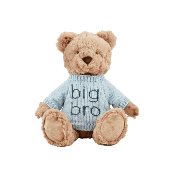 Big Bro Plush Bear