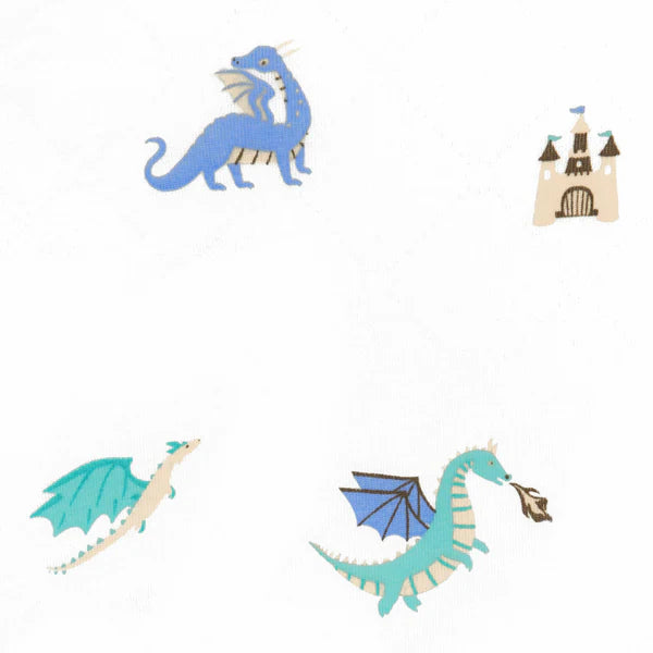 Dragon Print Swaddle Blanket