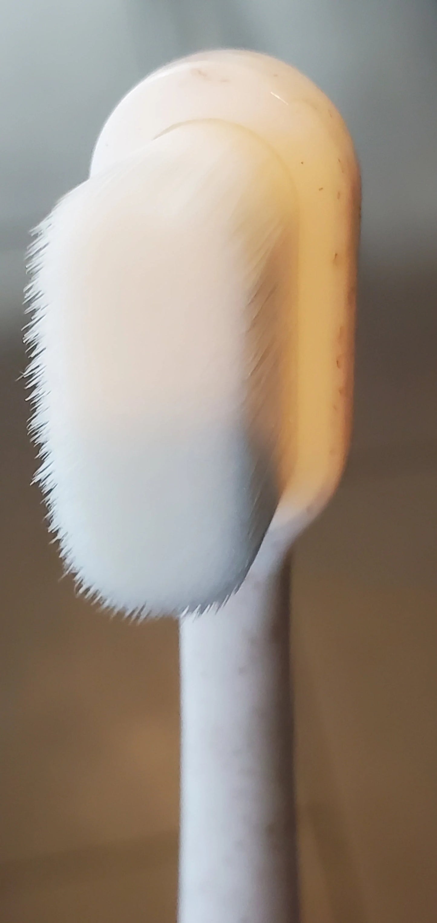 Puppy Polisher Wheat Straw Toothbrush