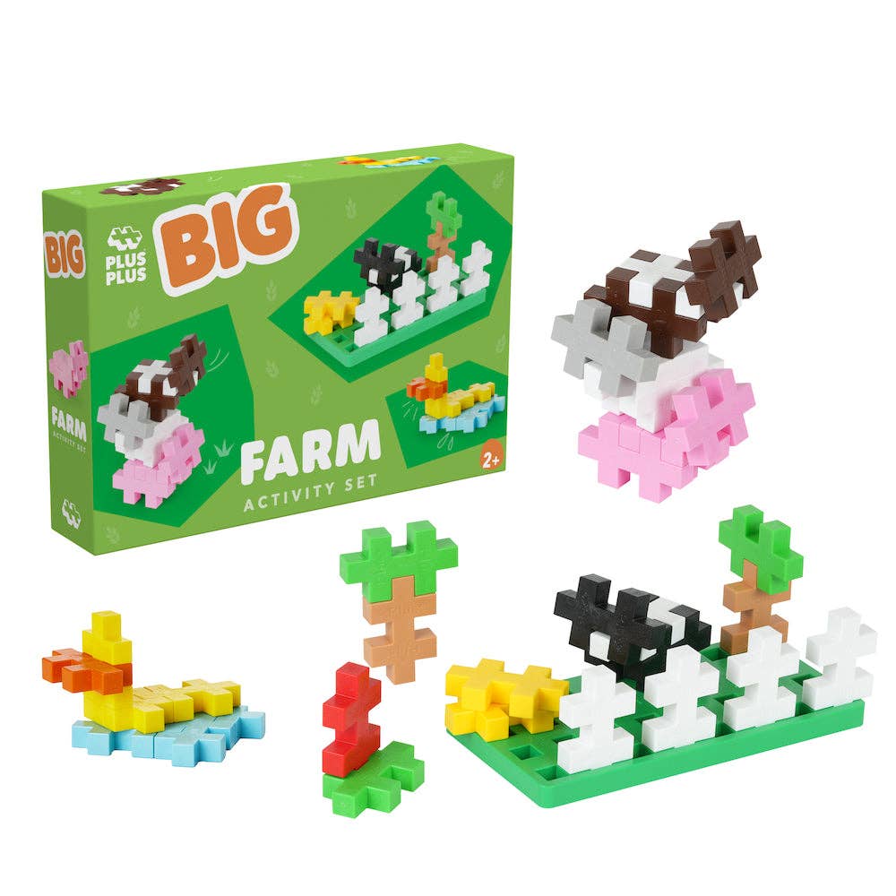 BIG Activity | Farm