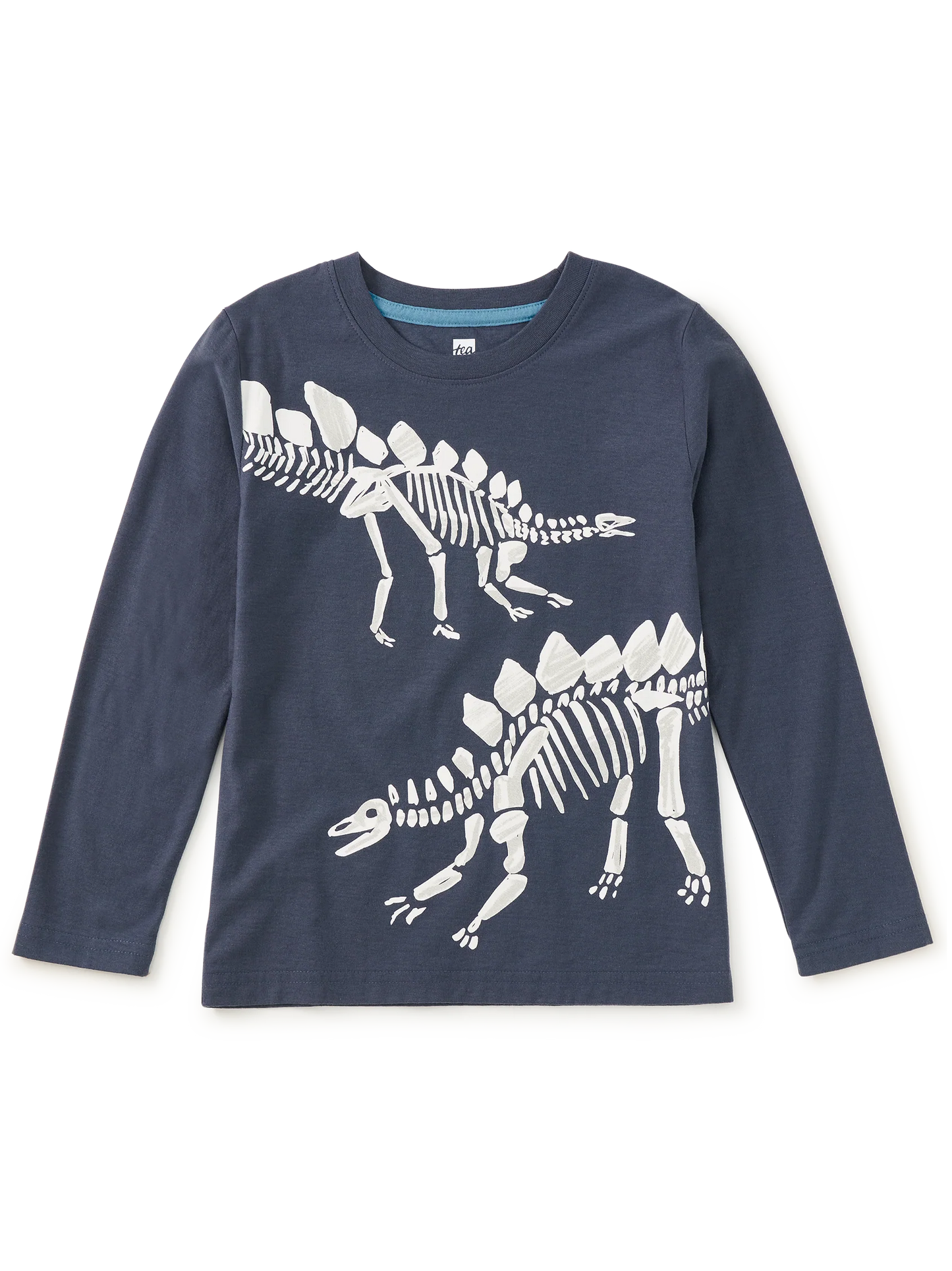Fossil Stegosaurus | Graphic Tee
