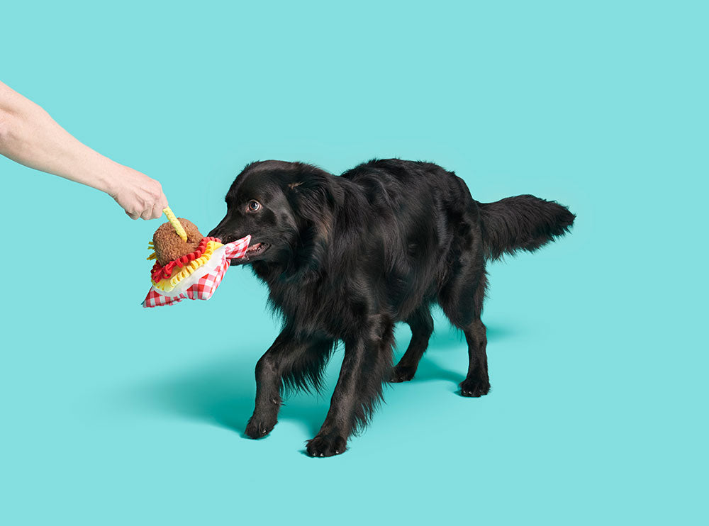 BARK Spaghetti and Muttballs