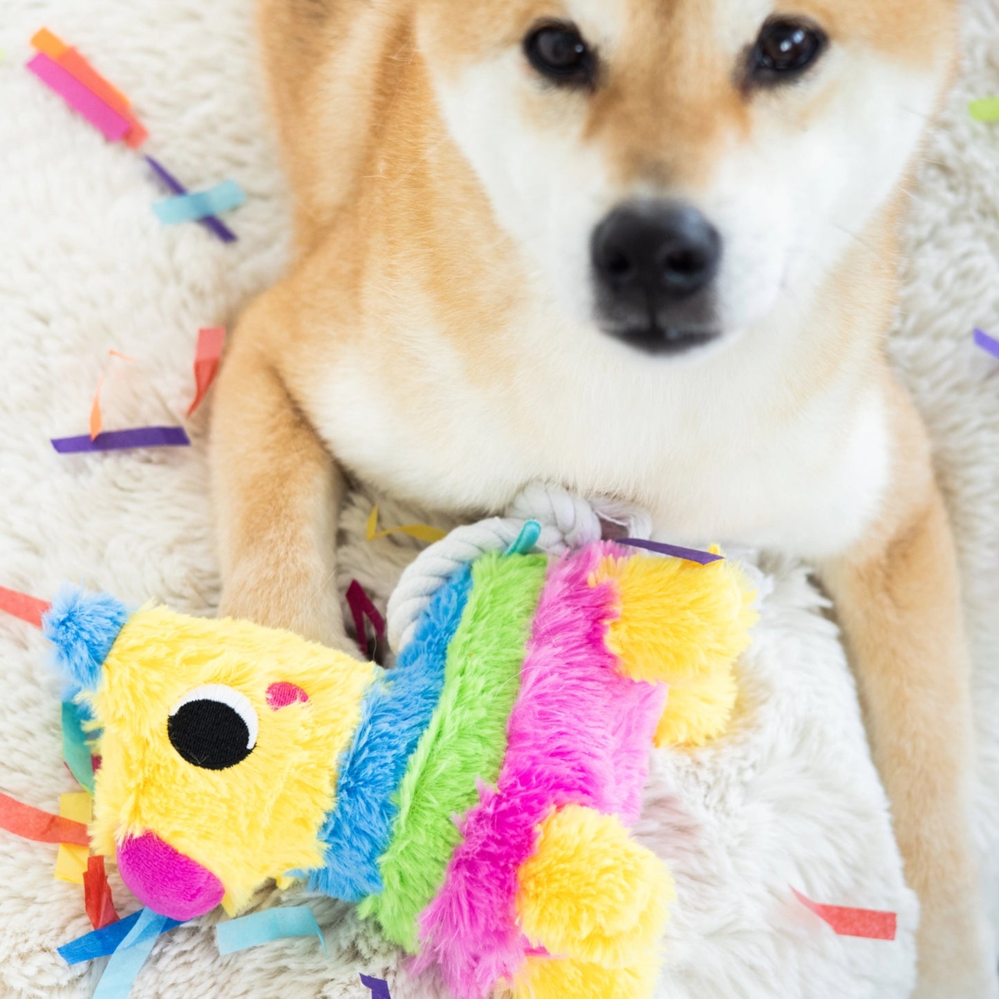 Pearhead Puppy Piñata Dog Toy
