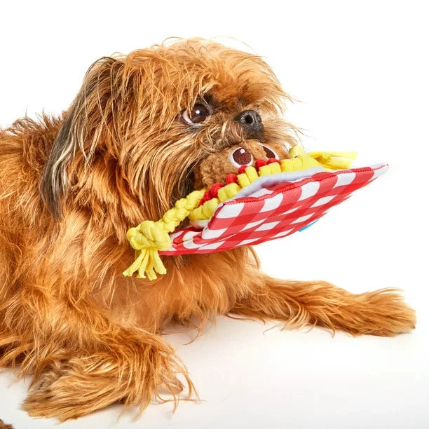 BARK Spaghetti and Muttballs