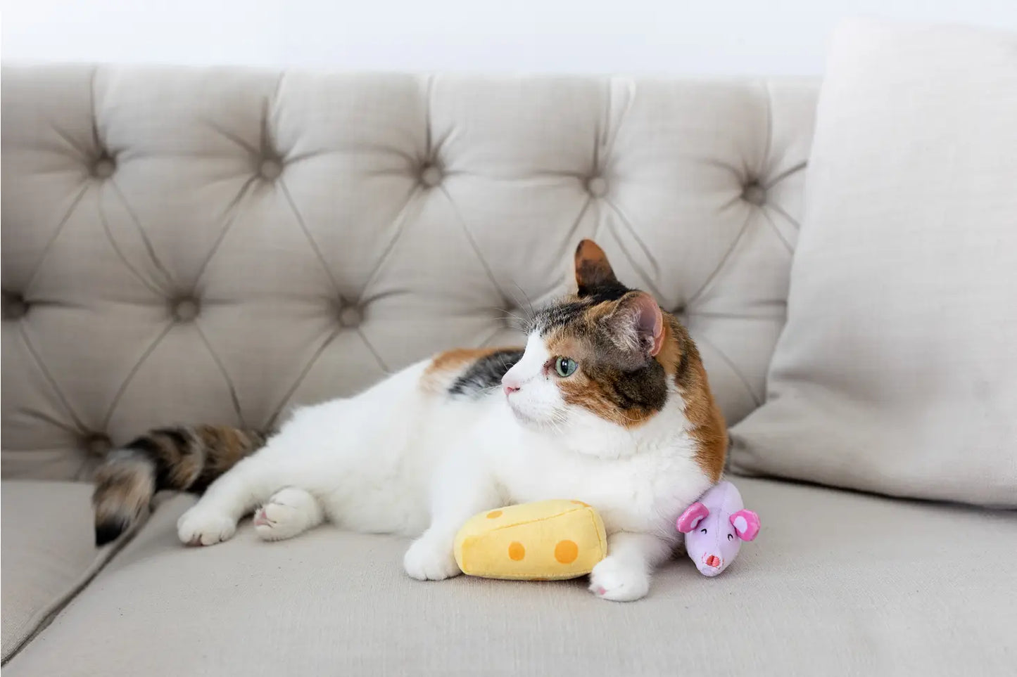 Hide and Squeak Cat Toy Set