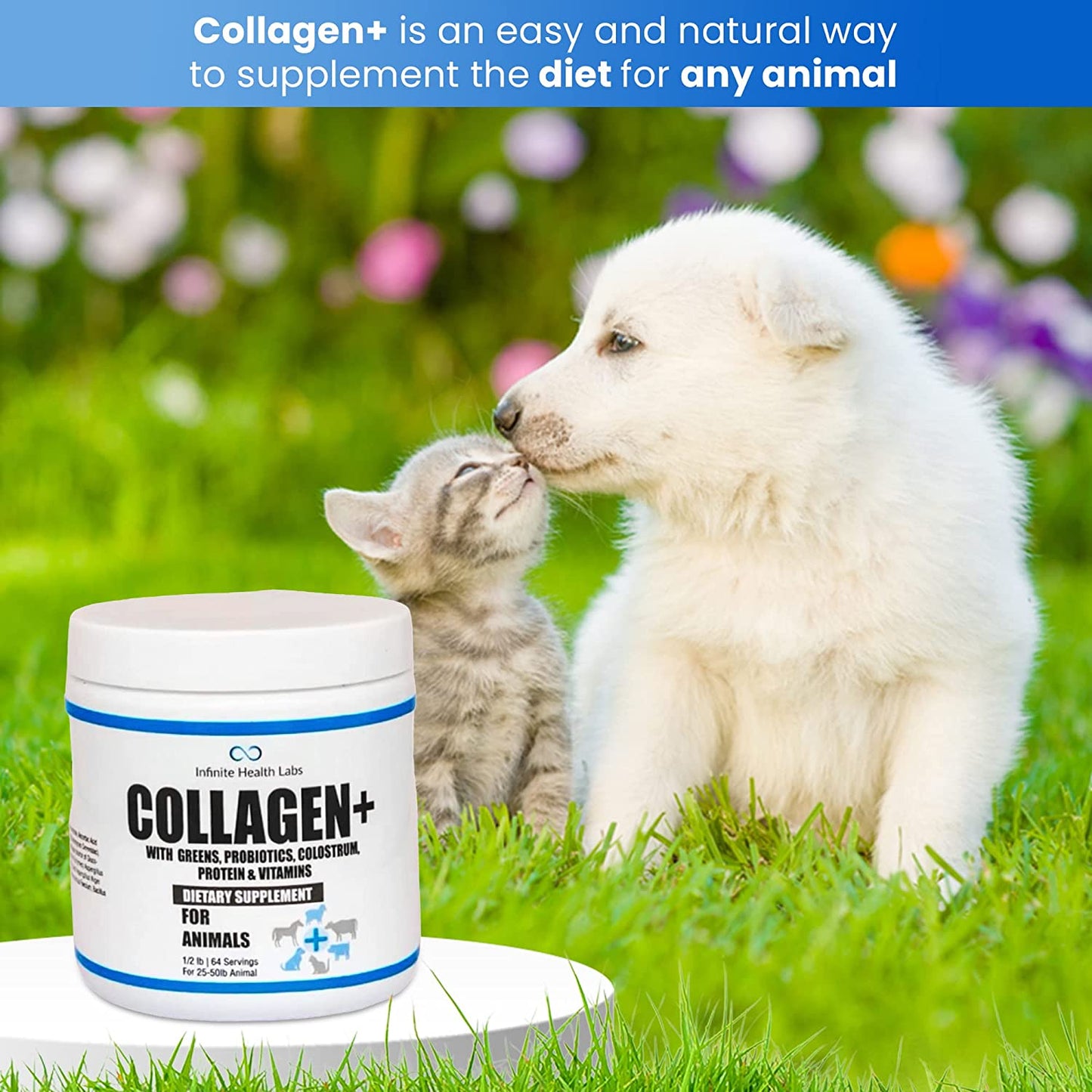 Infinite Health Labs Collagen+