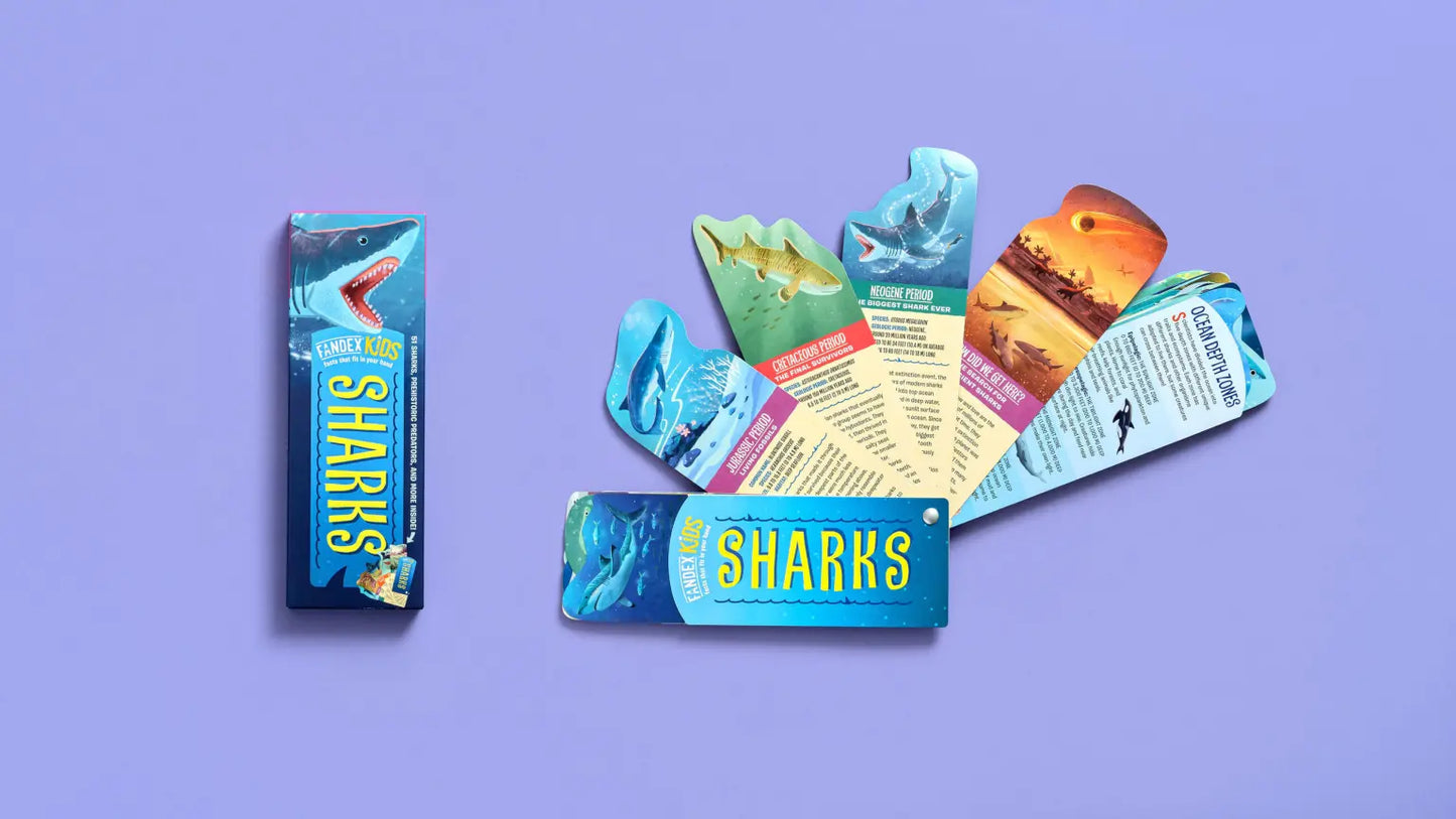 Fandex Kids : Shark Facts That Fit in Your Hand