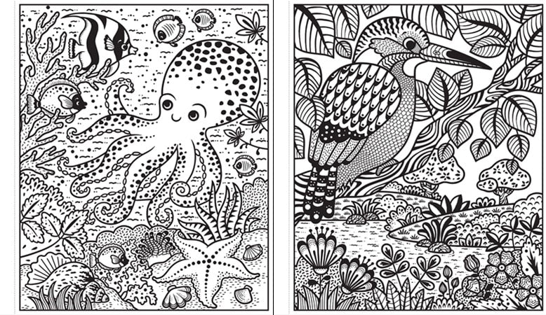 Animals Magic Painting Book