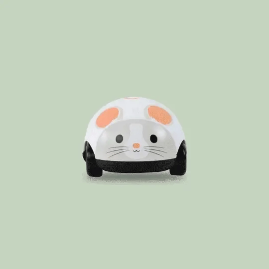 Zoomies | Cat and Mouse