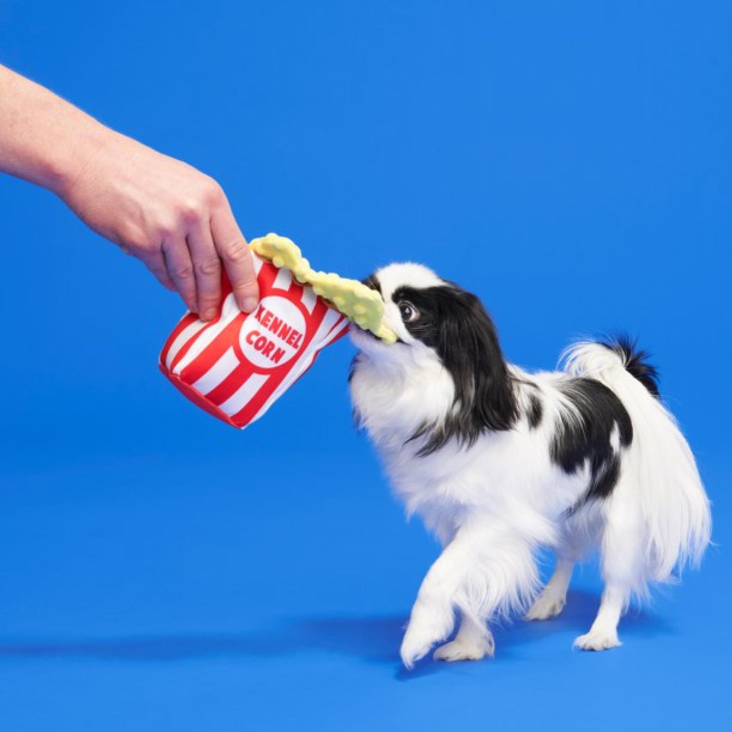 BARK Lieutenant Kernel