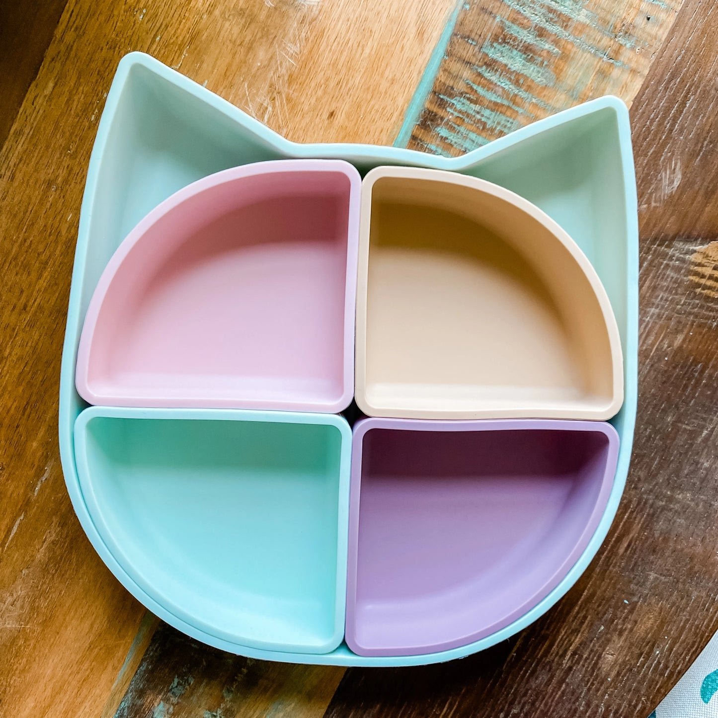 Mint Cat Divided Plate