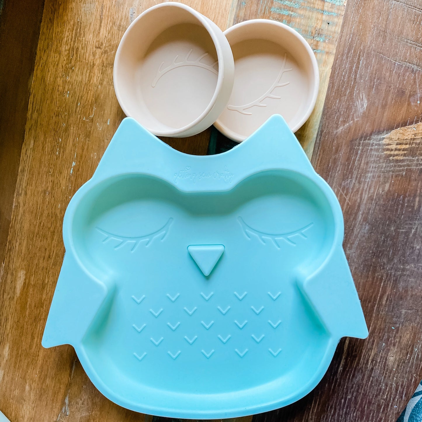 Mint Owl Divided Plate with Suction