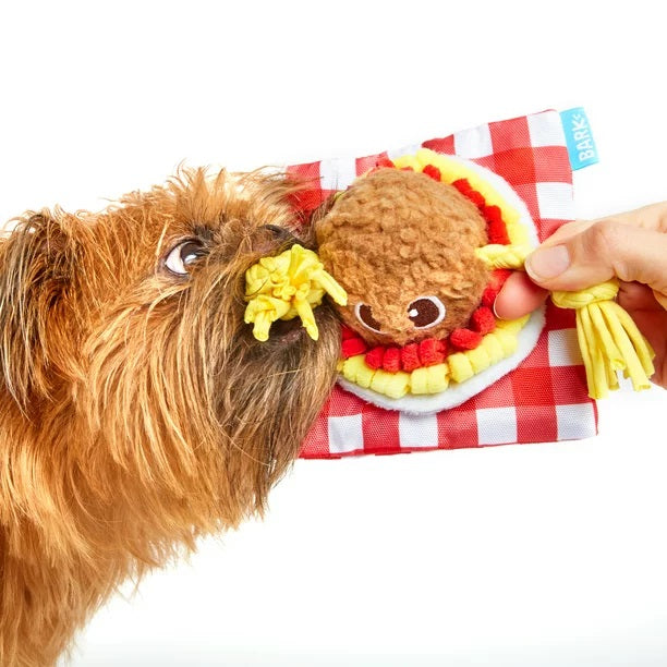 BARK Spaghetti and Muttballs
