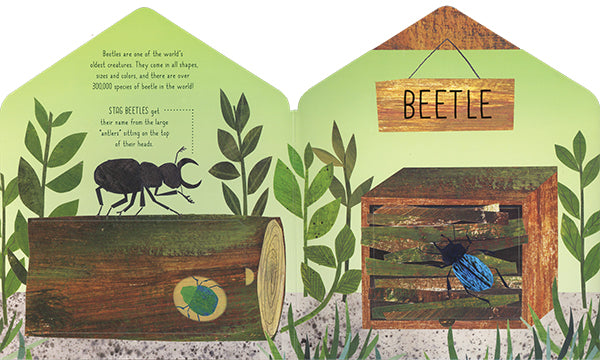 Bug Hotel