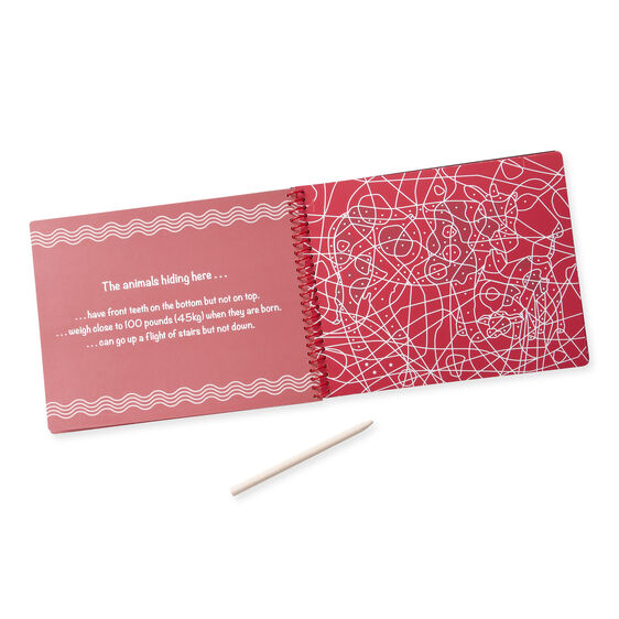 On the Go Scratch Art: Animal Families Hidden-Picture Pad
