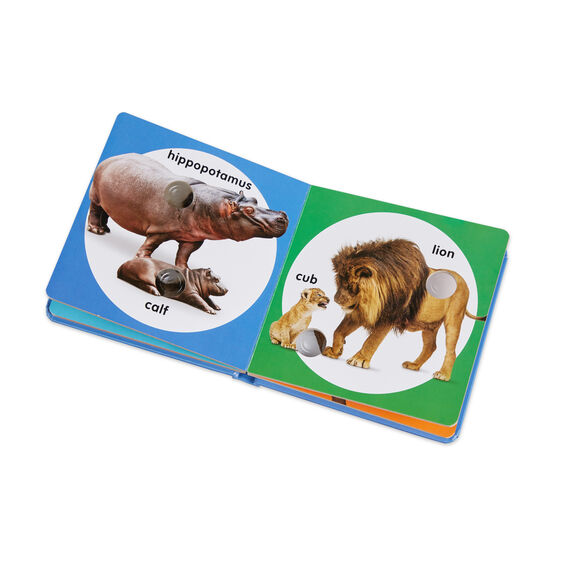 Poke-A-Dot: Wild Animal Families