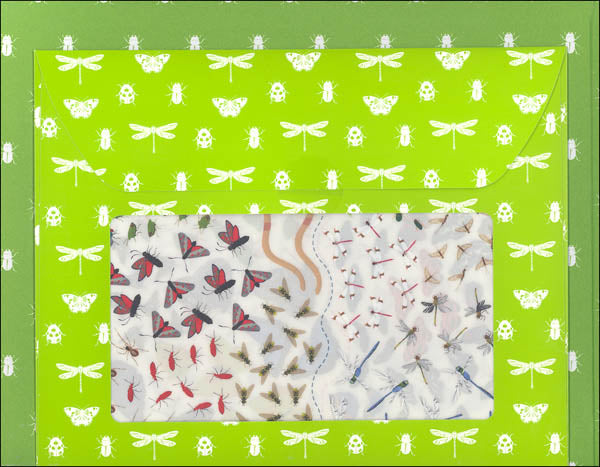 Usborne Butterflies & Bugs Rub-Down Transfer Book