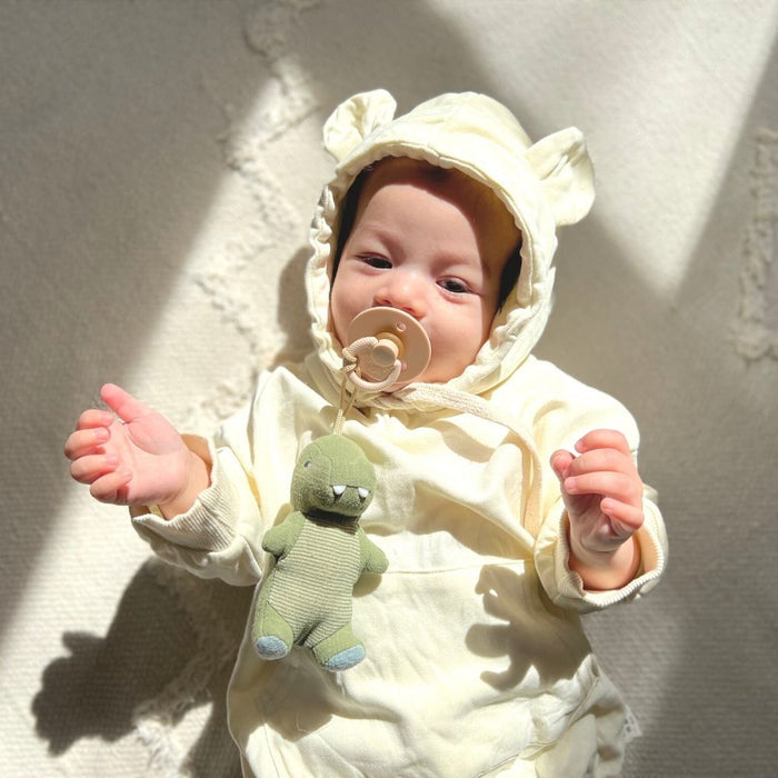 Dino Bitzy Pal - Natural Rubber Pacifier & Lovey