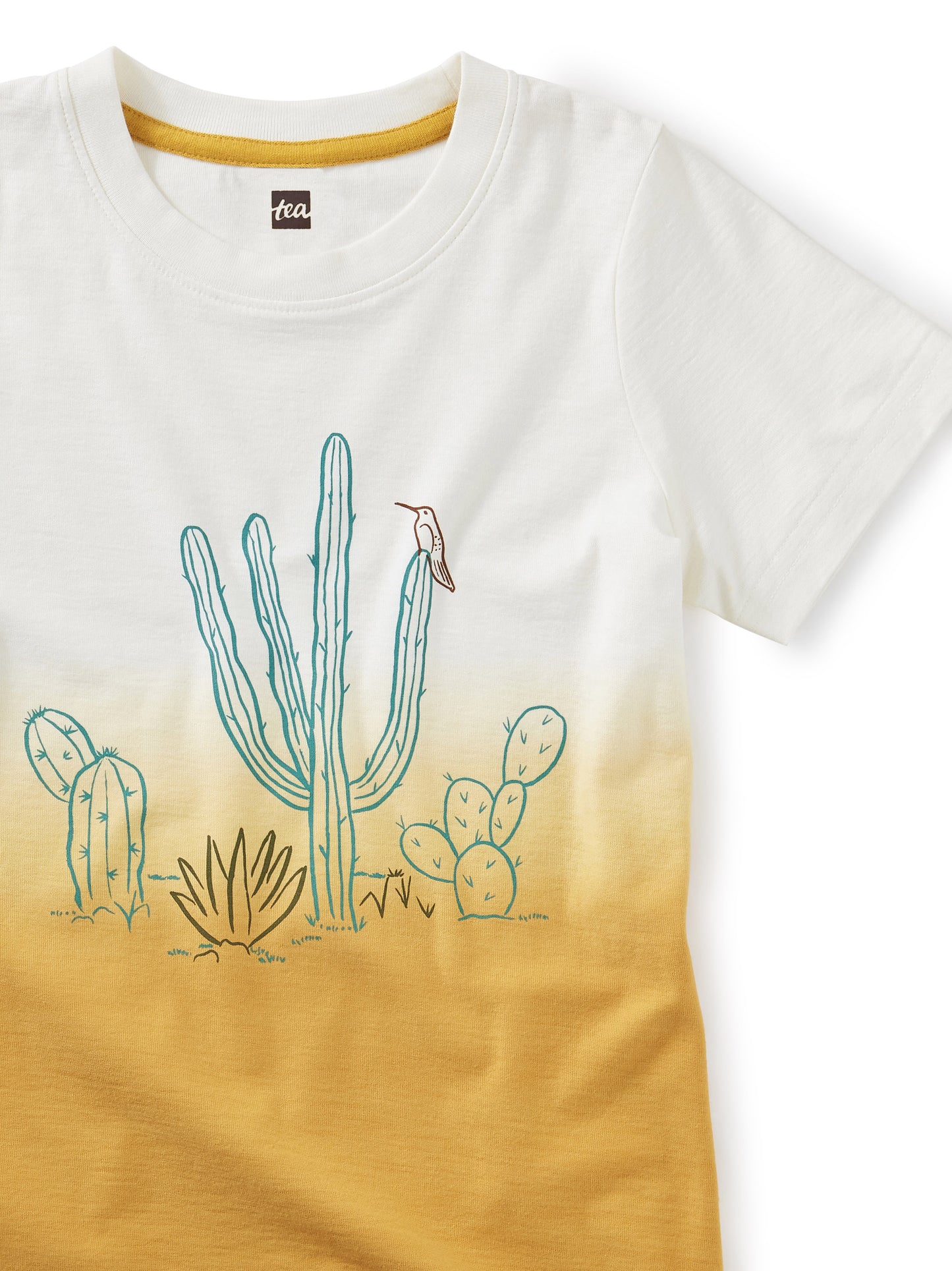 Tea Collection Prickly Dip-Dye Graphic Tee