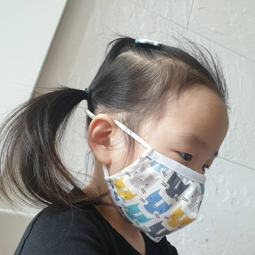 Kids Washable Cotton Face Mask - Adjustable - Optional Filter Pocket - Fox Blue