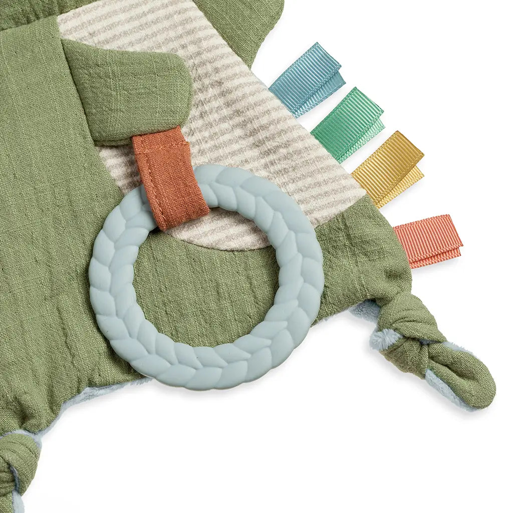 Dino Crinkle Toy with Teether