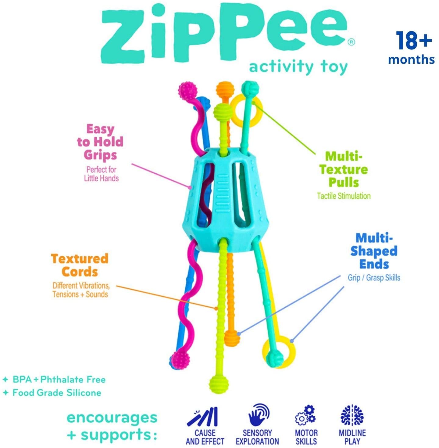 Zippee - Activity & Sensory Toy