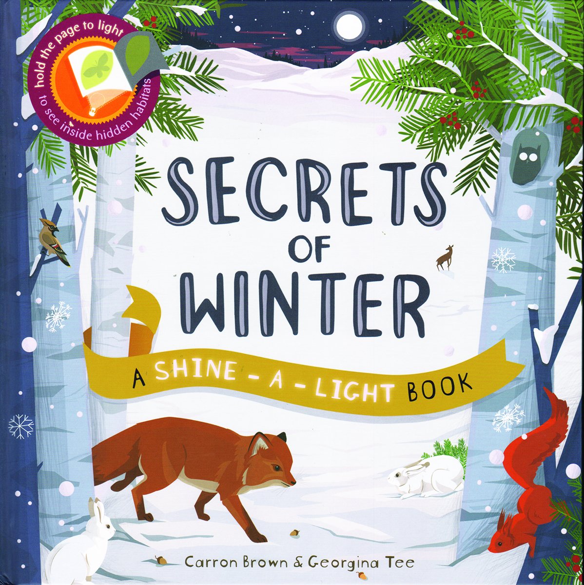 Shine-A-Light Books - Secrets of Winter - Kane/Miller Publishing
