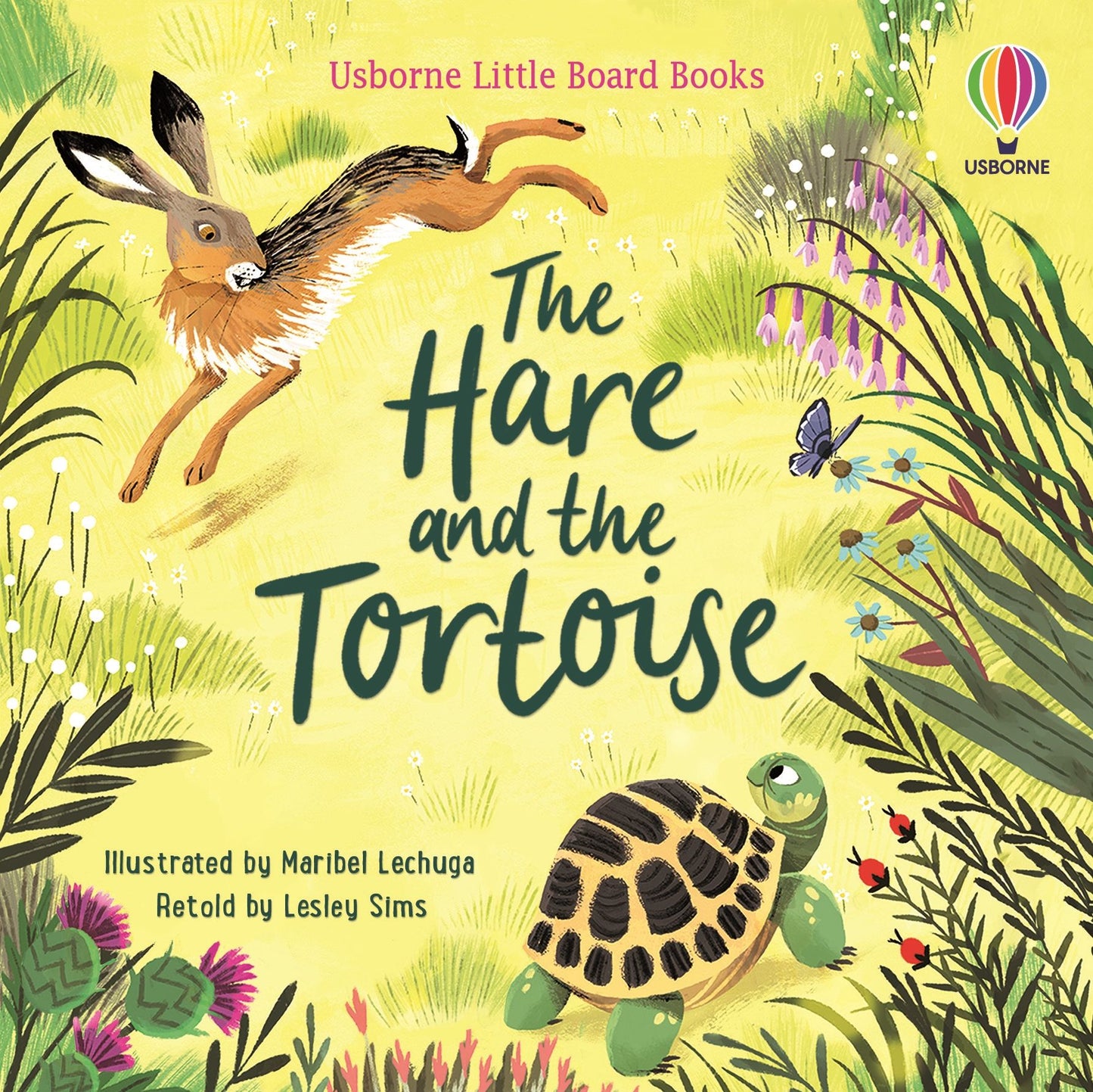 Little Board Books - The Hare and the Tortoise