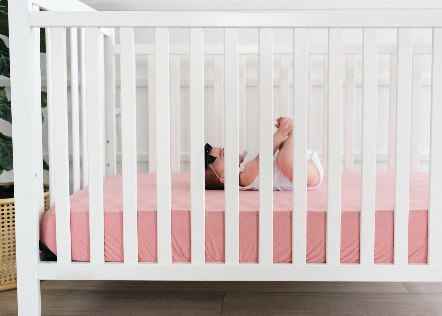 Copper Pearl Crib Sheet - Darling