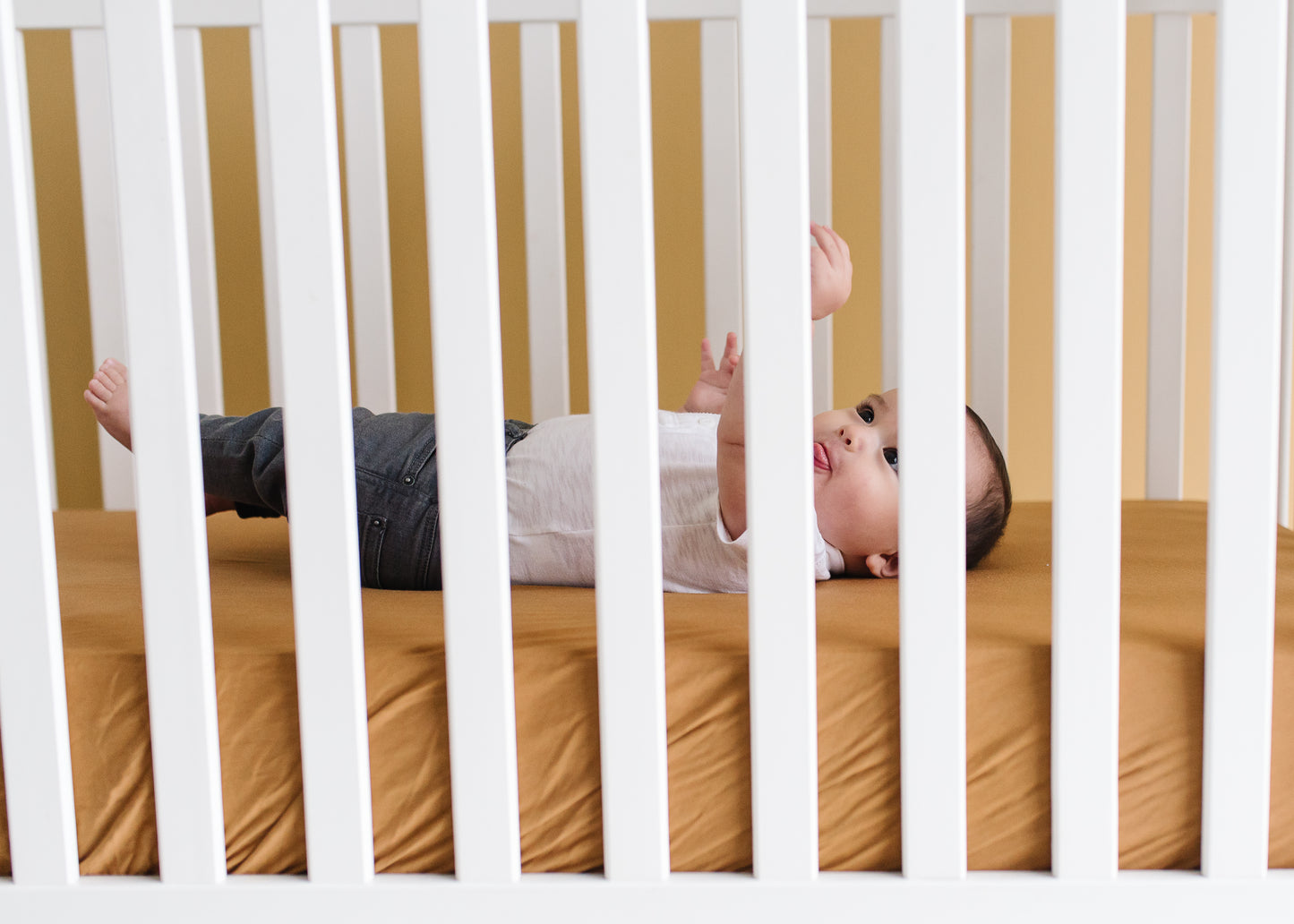 Copper Pearl Crib Sheet - Camel