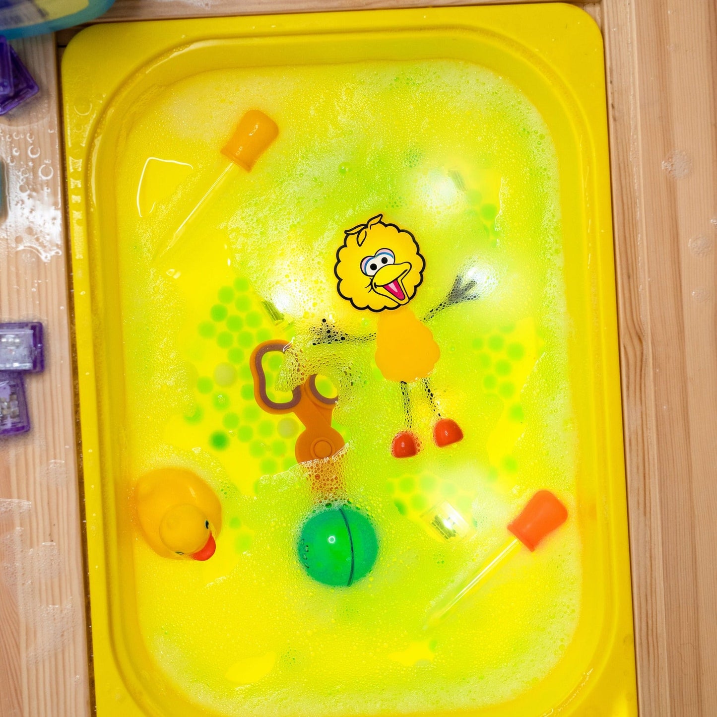 Big Bird Glo Pal Character
