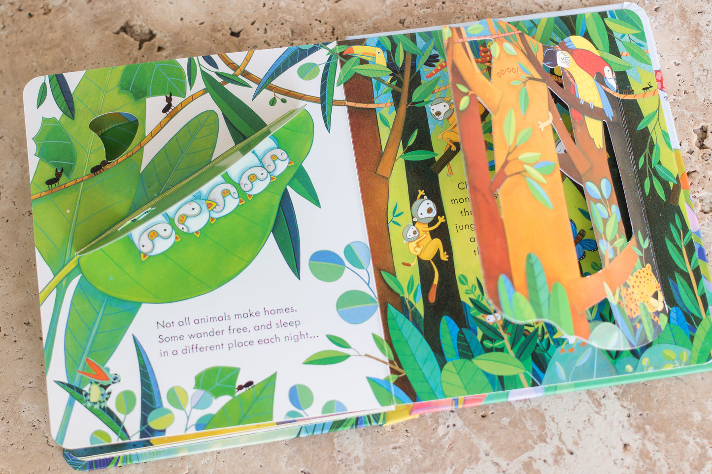 Usborne Peek Inside Animal Homes