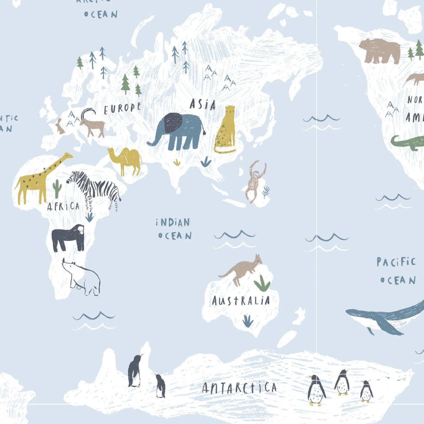 Sea the World Modal Magnetic Footie