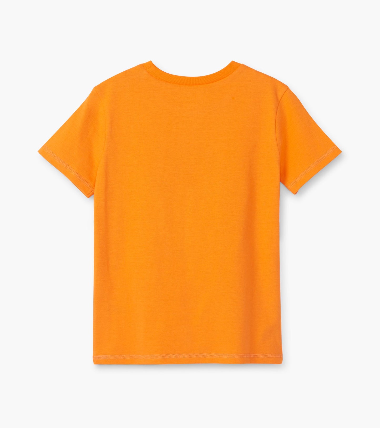 Majestic Lion Graphic Tee - Hatley