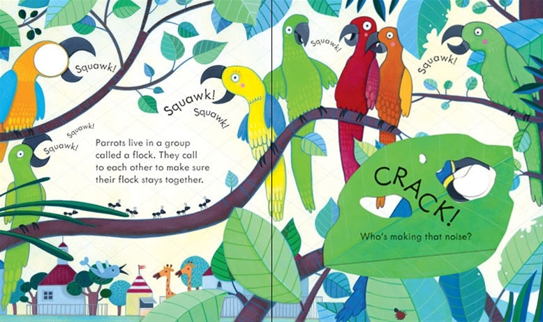 Usborne Peek Inside the Zoo