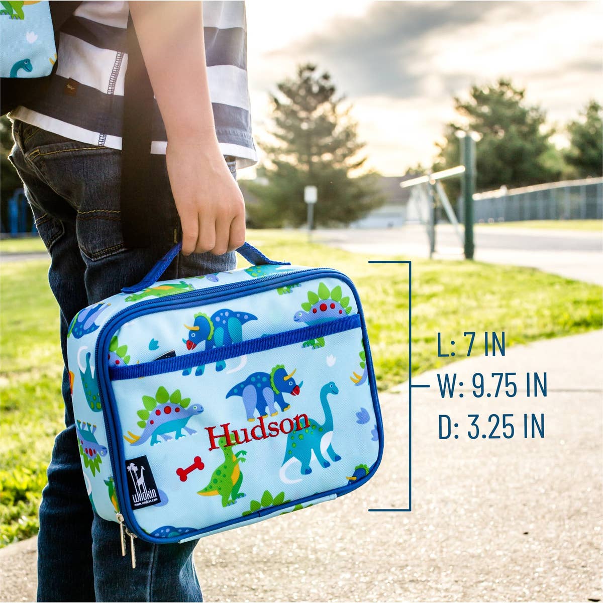 Wildkin Lunch Box - Dinosaur Land
