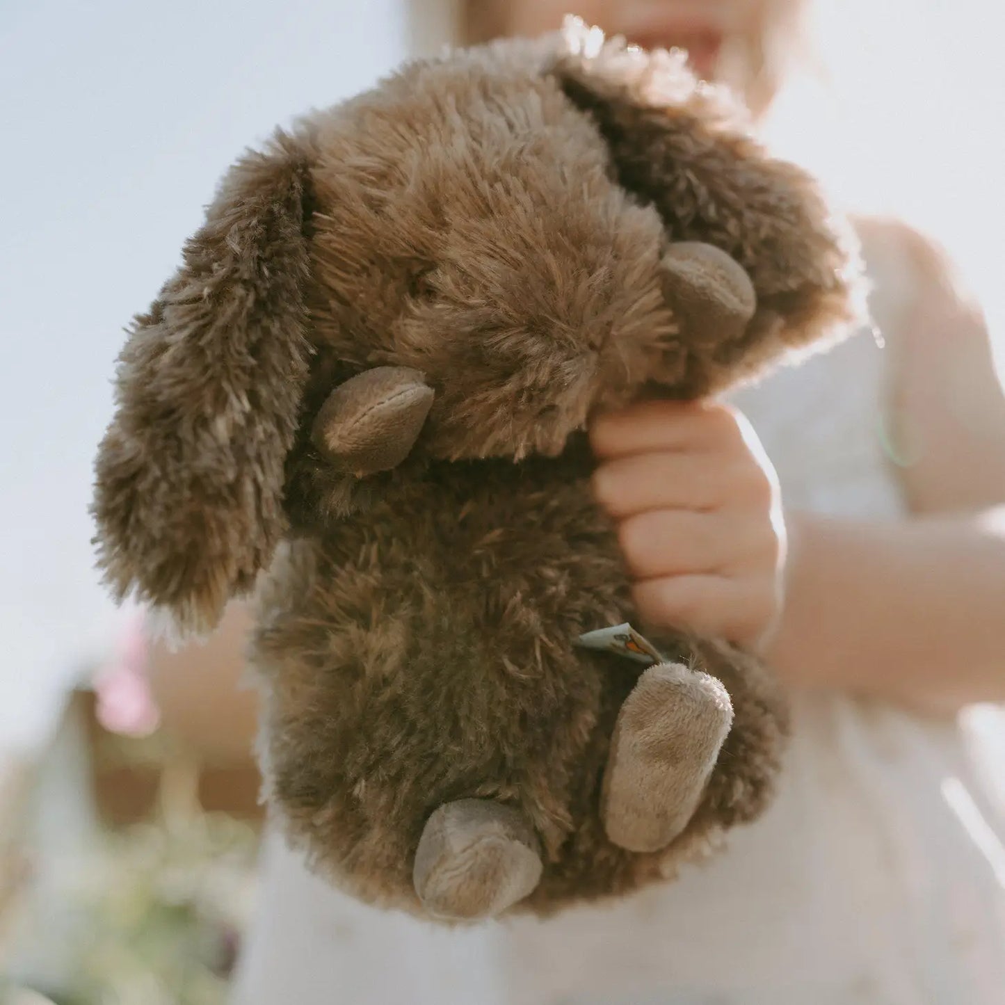 Wee Brownie Bunny