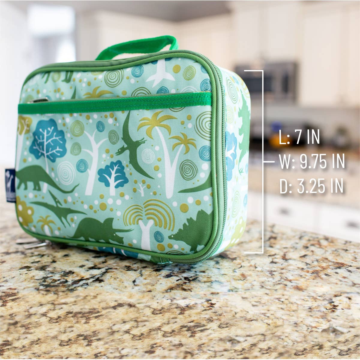 Wildkin Lunch Box - Dinomite Dinosaurs