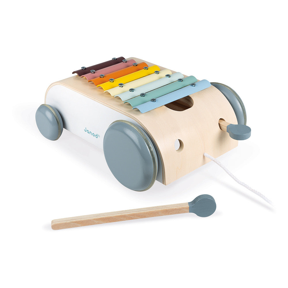 Sweet Cocoon Xylo Roller 2 in 1 Toy