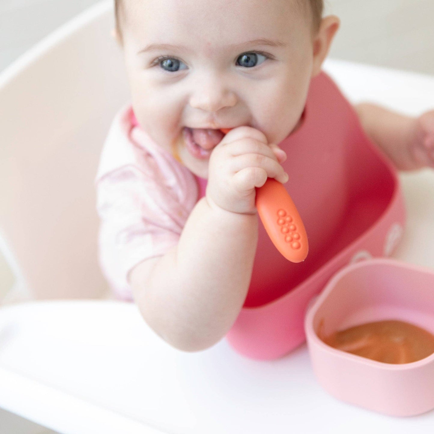 Garden Party | Learn to Eat Beginner Bundle