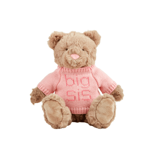 Big Sis Plush Bear