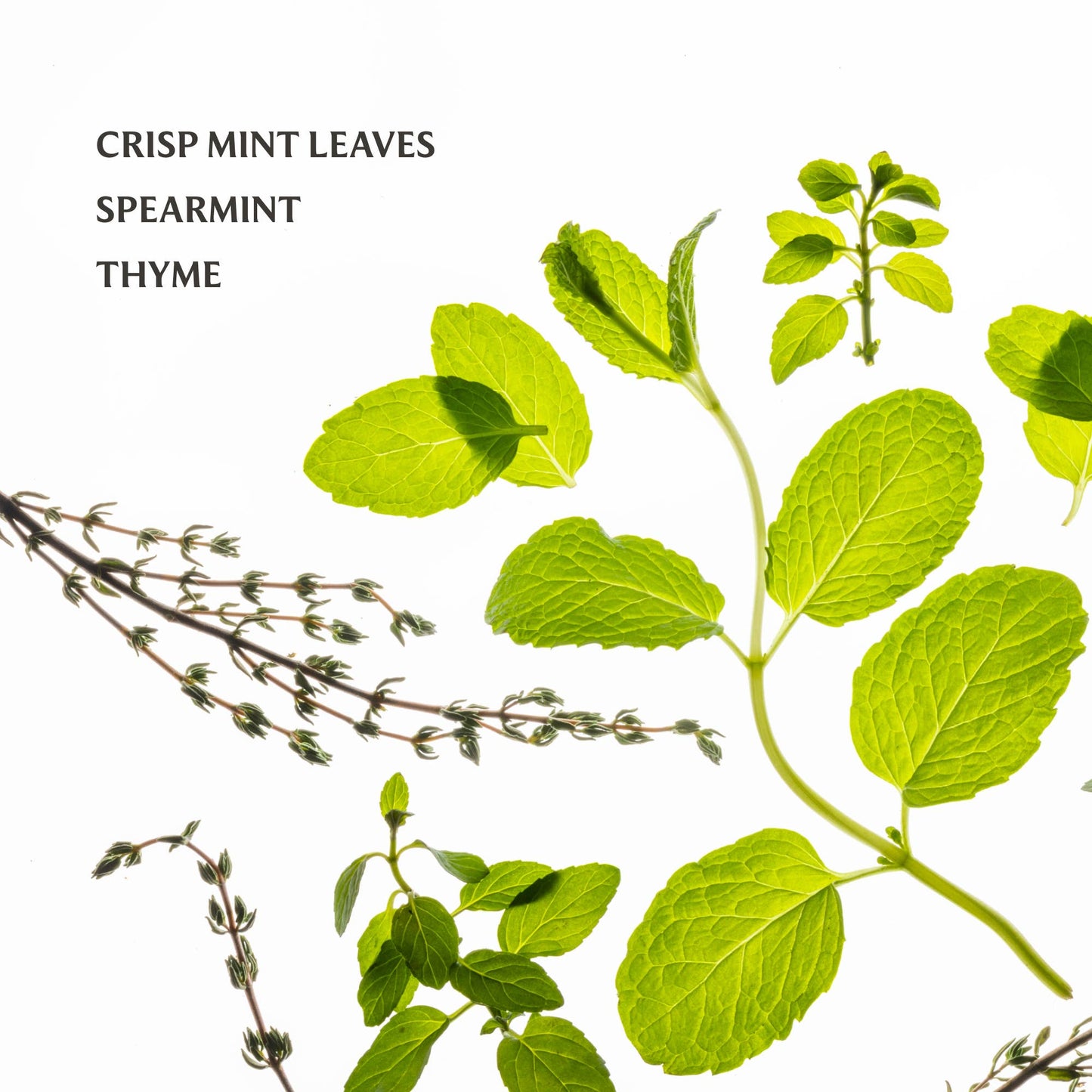 Frosted Mint | Power Mist Hand Sanitizer