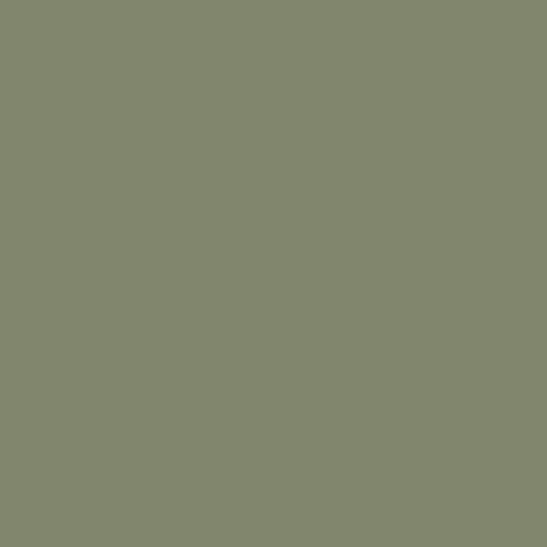 Classic Legging -  Army Green