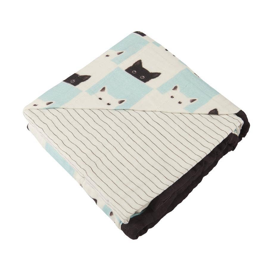 Peek-a-boo Cats and Pencil Stripe | Blanket