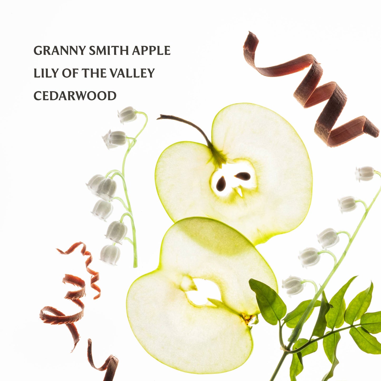Applelicious | Power Mist Hand Sanitizer
