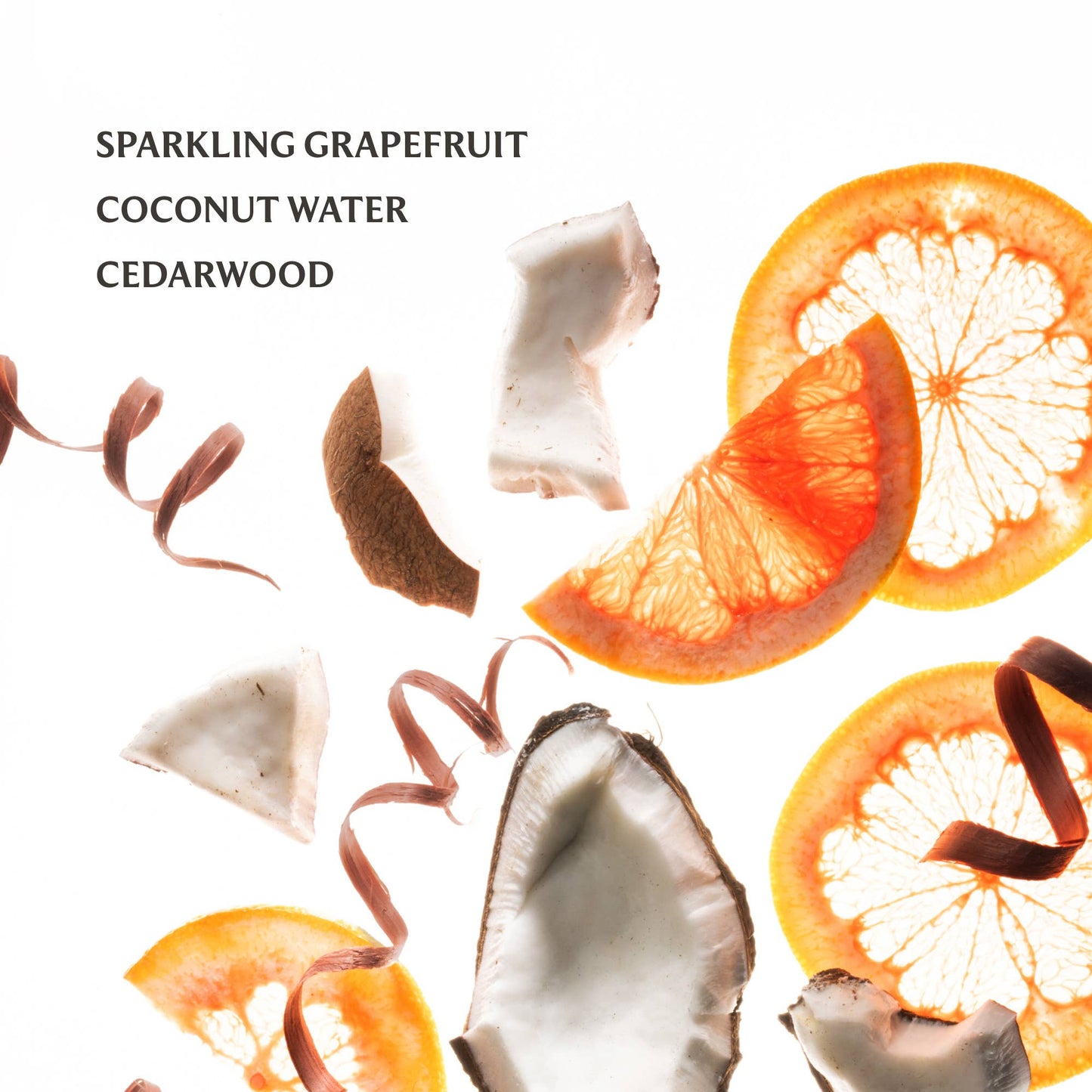 Beach Coco | Power Mist Hand Sanitizer
