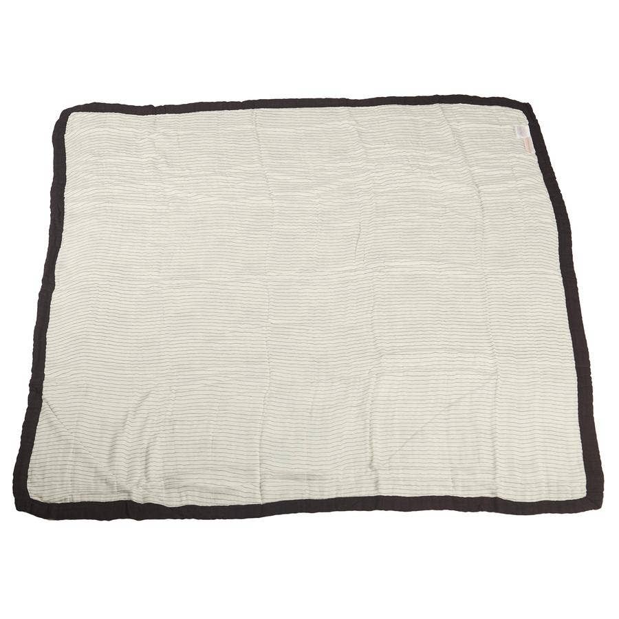Peek-a-boo Cats and Pencil Stripe | Blanket