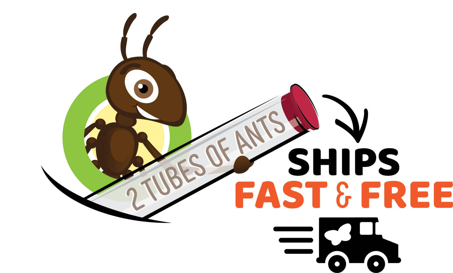 ANT HILL TUNNELING KIT WITH PREPAID VOUCHER